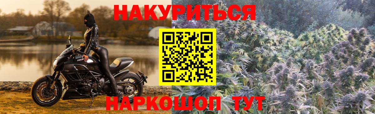 Шишки марихуана конопля Киров